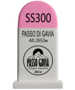 Magneet Passo Gavia - Rifugio Bonetta paaltje