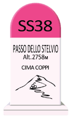 Magneet Stelvio Cima Coppi paaltje