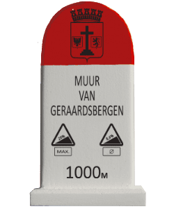 Muur Geraardsbergen - RVV (2011)