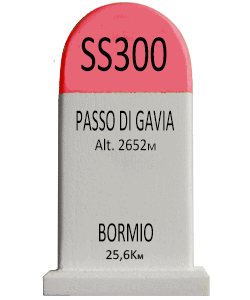 Passo di Gavia - Bormio